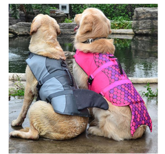 Dog Swimwear and Pet Life Jacket Rescue Kits